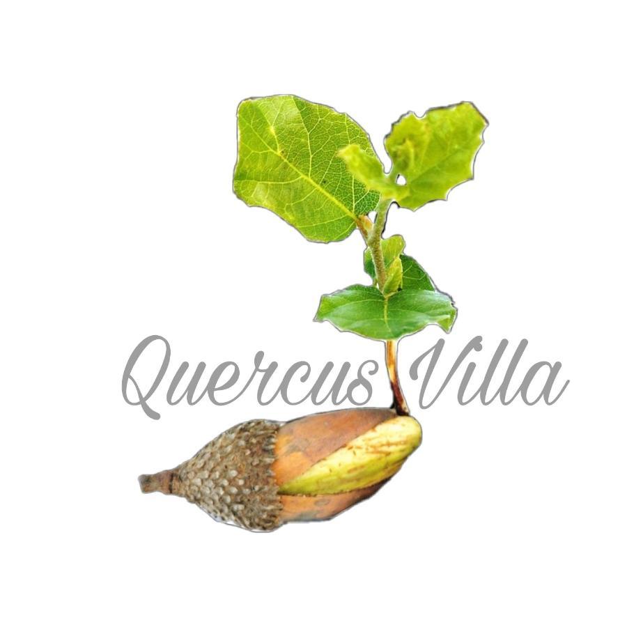 Quercus Villa Sesimbra Ngoại thất bức ảnh